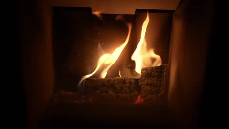flames within a wood-burning stove. the intricate patterns of the flames create a hypnotic effect, drawing the viewer in and inviting contemplation.