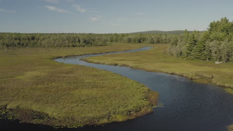 River-meandering-through-flood-plain-into-distance-lush-green-environment-Aerial