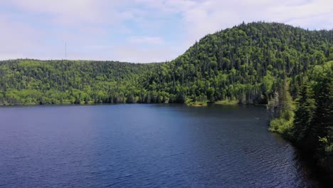 drone footage of a lake surrounded by mountains and forests, drone slowly turns right around a tree during the day above clear blue water