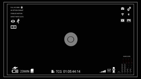 Camera Viewfinder Display