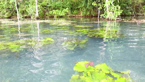 kayaking in krabi's serene, clear water canal