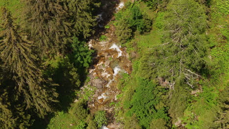 Aerial-of-a-small-mountain-creek-surrounded-by-a-green-forest-and-meadow