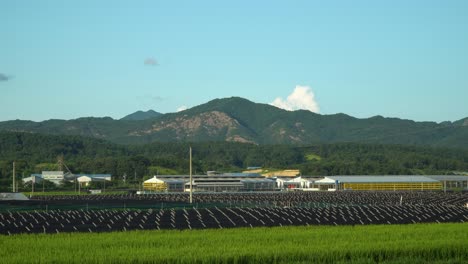 -Geumsan-city---ginseng-and-rice-field-over-Mountains-on-a-sunny-day-in-summer