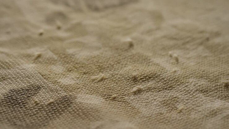 Close-up of Natural Beige Fabric Texture