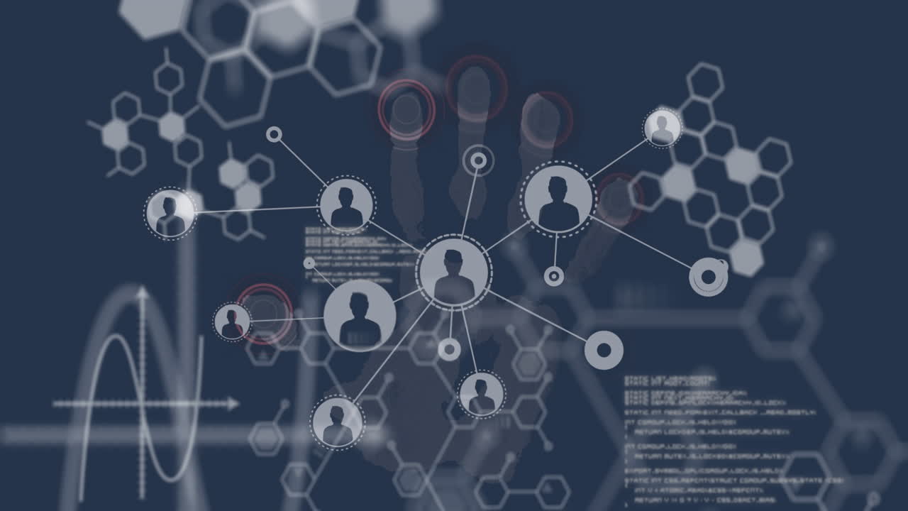 Animazione di reti di connessioni e elaborazione dati