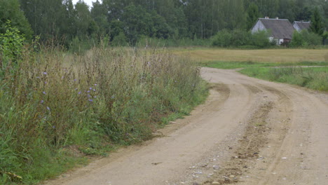 dirt road through rural landscape