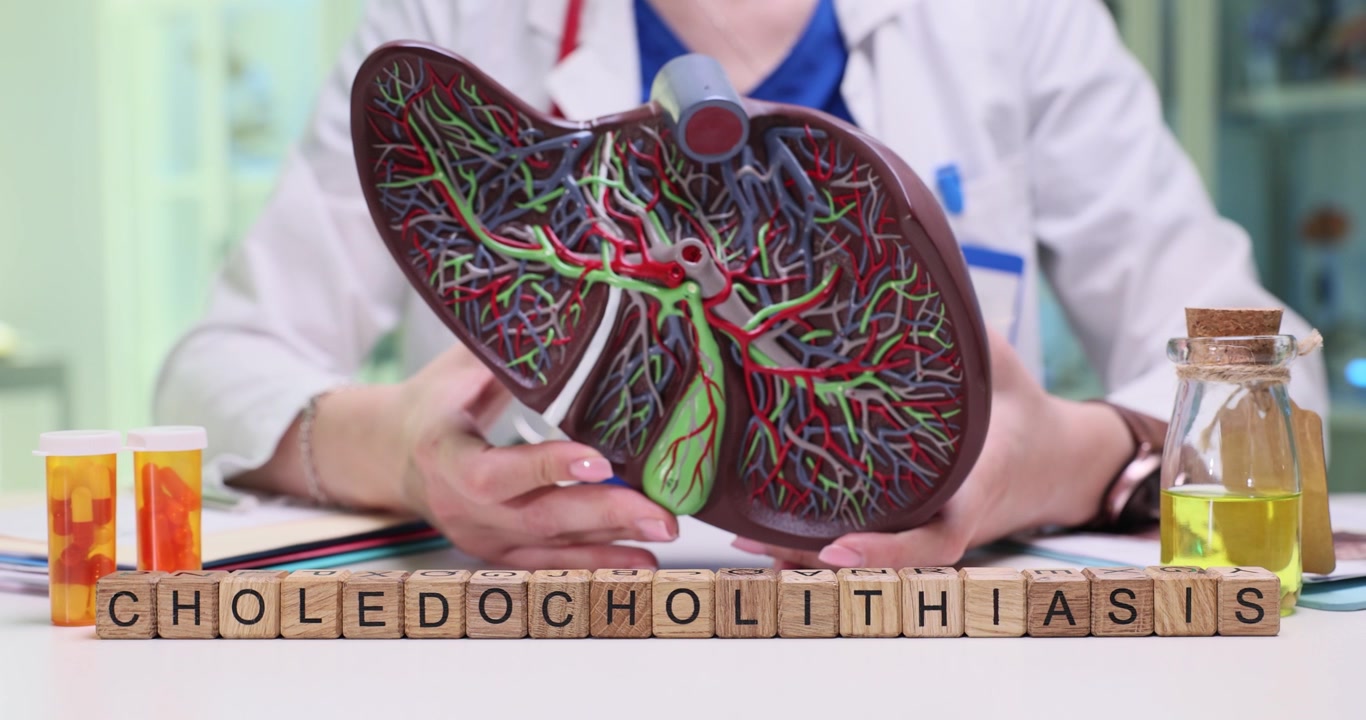 Umfassende Lehrdarstellung mit Fokus auf Choledocholithiasis und Konzepte der Leberanatomie.