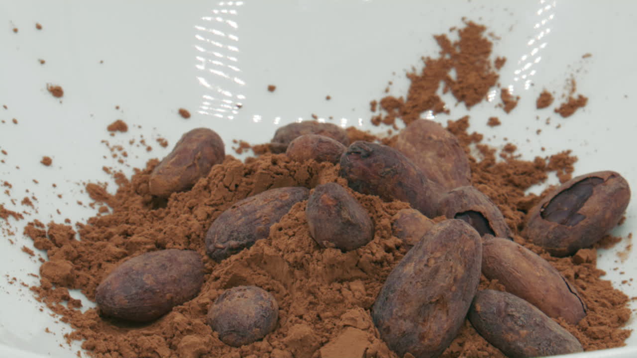 cuenco de granos de cacao y cacao en polvo girando lentamente