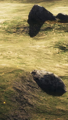 serene grassland landscape with rocks