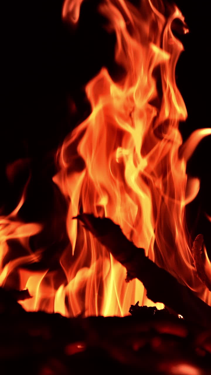 Thin branches of tree burn in the campfire. Orange flames moving quickly in the darkness. Vertical video