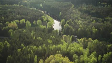 El-Sendero-De-La-Copa-De-Los-árboles-Ubicado-En-Anyksciai,-Lituania
