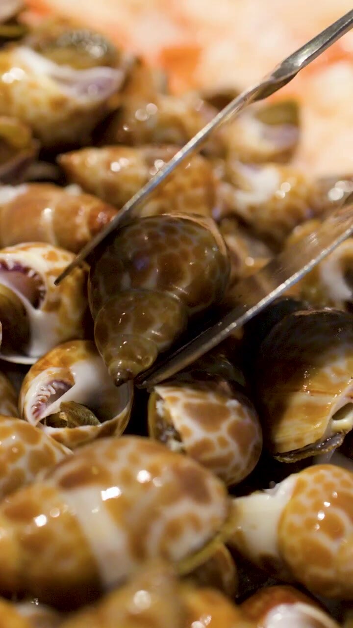 Close-up shot of metal tongs selecting sea snails from a chilled seafood buffet display