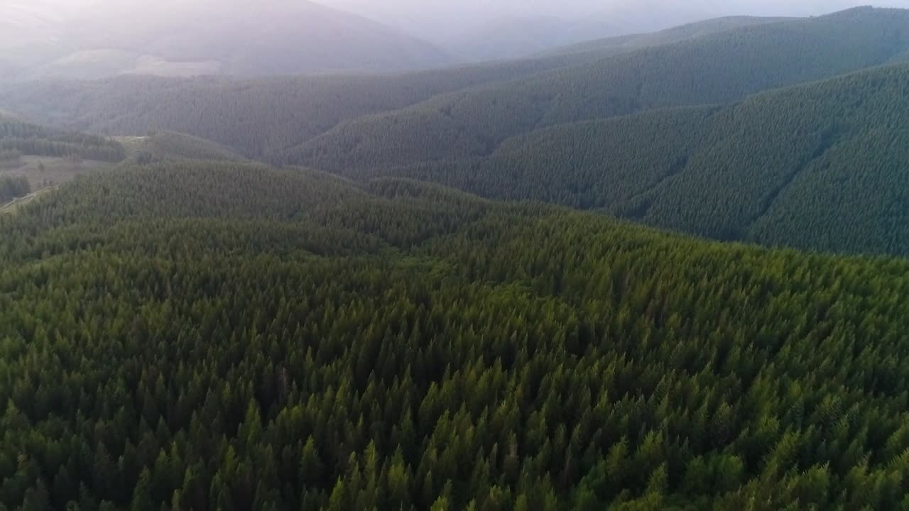 Lenta ripresa aerea con dolly che passa sopra una cresta verso una valle sempreverde.