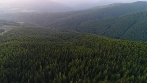 Slow-dolly-aerial-shot-passing-over-a-ridge-towards-an-evergreen-valley