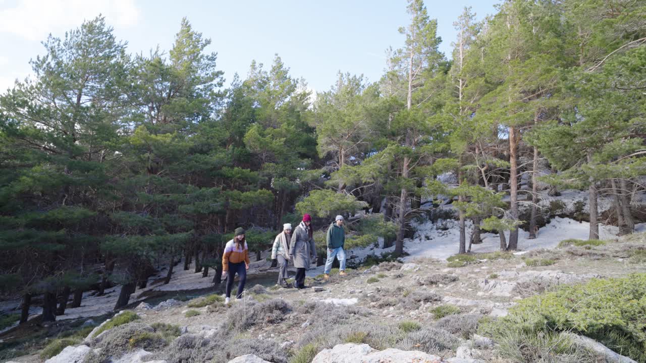 숲 에서 산책 하는 사람 들 의 집단