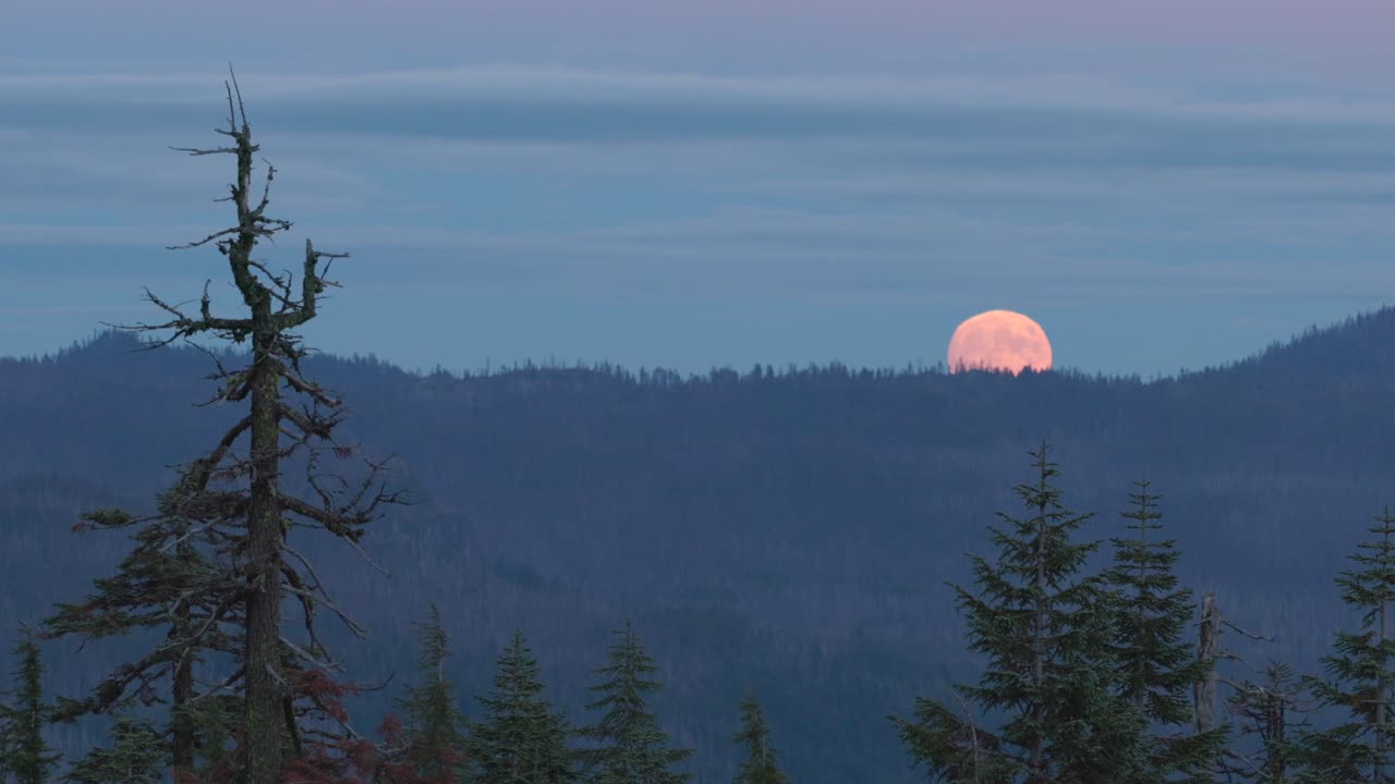 primer plano de la superluna de la cosecha que se eleva sobre el parque nacional del lago del cráter visto desde la distancia