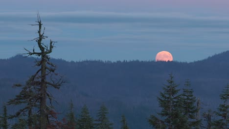 Primer-Plano-De-La-Superluna-De-La-Cosecha-Que-Se-Eleva-Sobre-El-Parque-Nacional-Del-Lago-Del-Cráter-Vista-Desde-La-Distancia