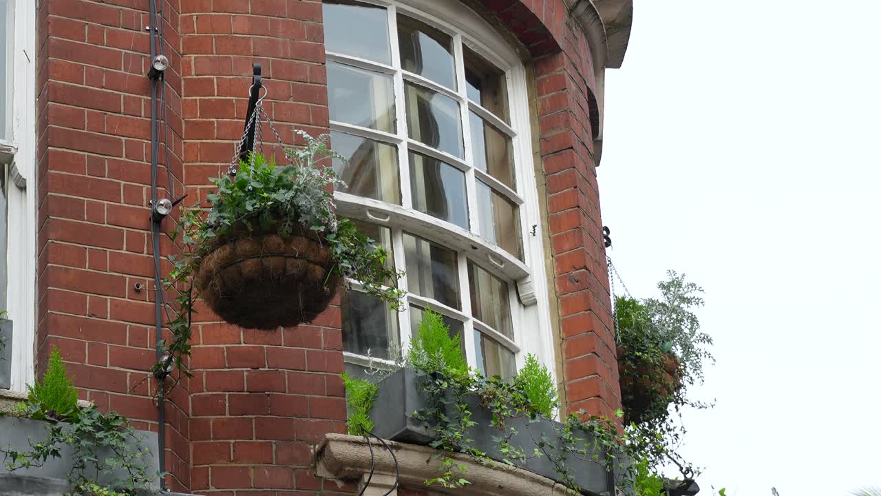 Rødt mursteinshus i London med et buet vindu og en hengende plantekurv. Nærbilde som viser boligarkitektur og grønt på fasaden