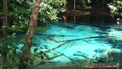 Schönheit-Der-Asiatischen-Natur