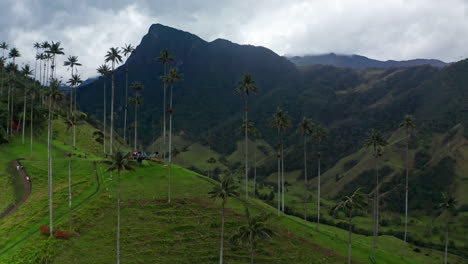 Vista-Aérea-Por-Drones-Del-Valle-De-Cocora,-Salento,-Colombia