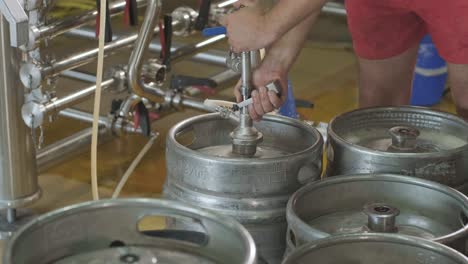 barriles de cerveza en una cervecería moderna