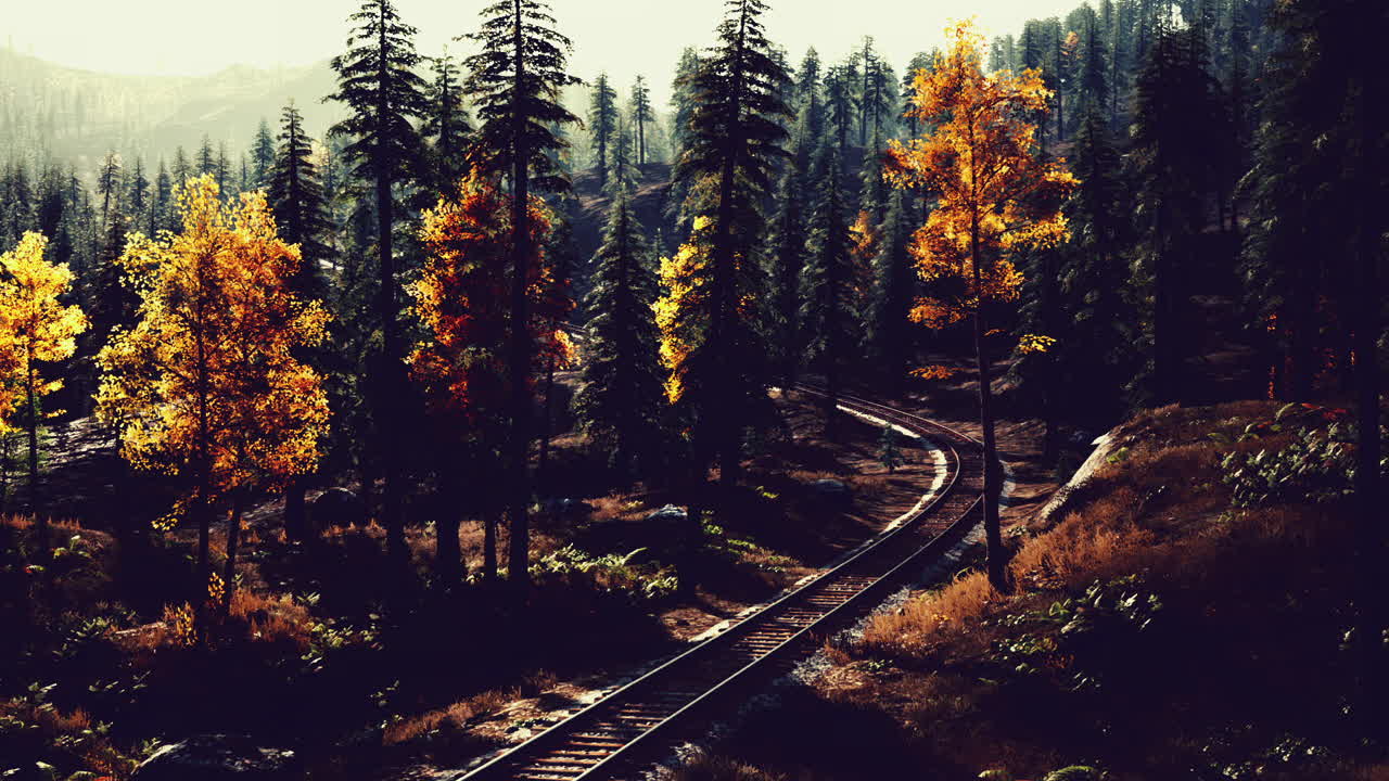 가을 에 숲 을 가로질러 가는 기차 트랙