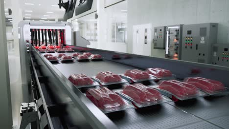 bandejas de carne cruda envasadas en una cinta transportadora en una fábrica