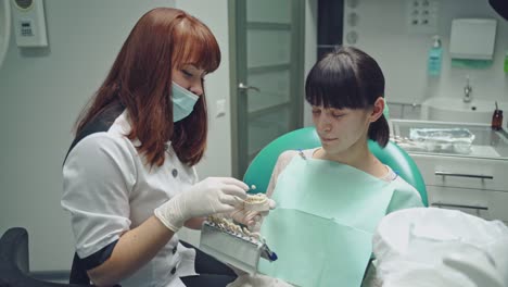 friendly dentist showing jaw layout to a patient girl sitting in the stomatology clinic. professional dentist explaining to female patient correct tooth brushing on the dental model