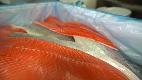 layers of norway factory farmed salmon fillets laying in plastic covered styrofoam box