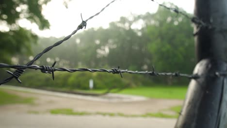 barbed wire fence in a park