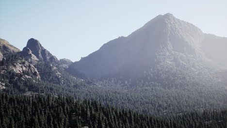 Bosque-De-Pinos-En-Las-Montañas-De-La-Isla-Griega