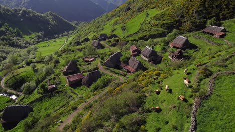 4K-aerial-view-of-remote-straw-huts-ethnic-village-on-green-valley-of-Asturias,-Spain