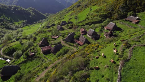 4k-luftansicht von abgelegenen strohhütten ethnisches dorf im grünen tal von asturias, spanien