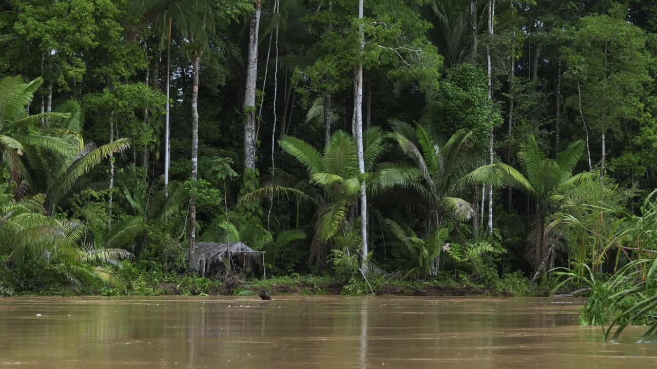flotando río abajo en brasil en un día nublado