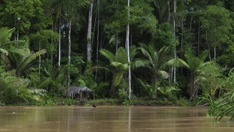 Flotando-Río-Abajo-En-Brasil-En-Un-Día-Nublado