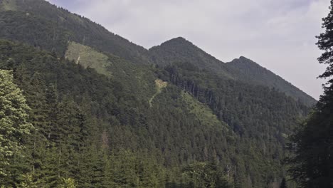 opening shot of the forested mountains of the low tatras