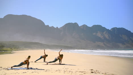 el yoga es la obra de arte de la conciencia.