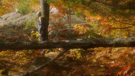 Exploring-a-Fall-Forest-Wonderland,-Attractive-Man-Enjoys-Nature-Colors,-Fixed-Wide-sunny-day