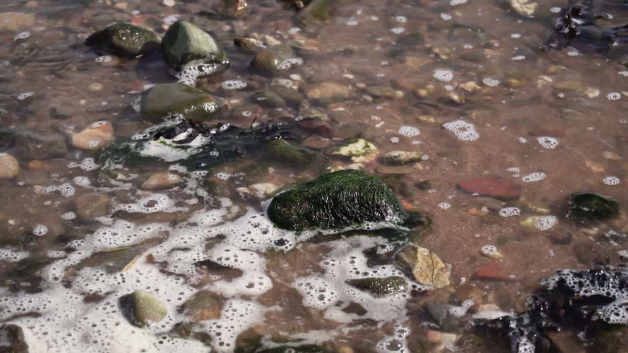 Acqua di mare inquinata sulla costa di Lisbona.