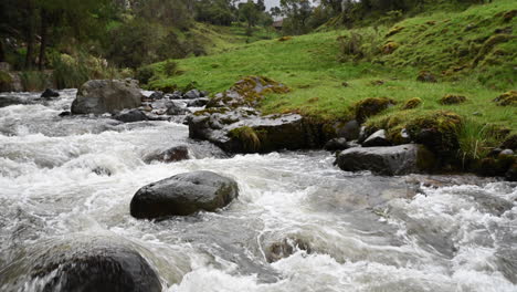 close up of river flowing in the middle of woodlands of ecuador-1