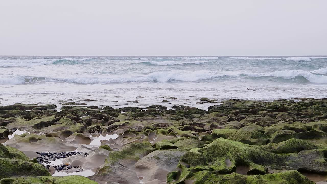 escena oceánica cinematográfica tranquilizadora con olas enrolladas en el fondo y rocas de musgo y guijarros en primer plano en porto santo - portugal 50 fps toma estática