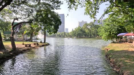 time-lapse of a serene park with a lake