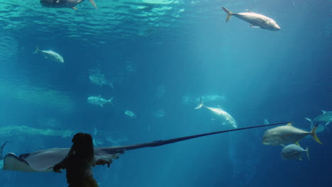 little girl in aquarium looking at stingray swimming in tank curious child watching marine animals in oceanarium having fun learning about sea life in aquatic habitat