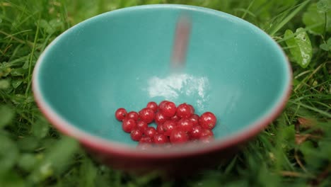 bowl standing on the ground with red currant inside, close up