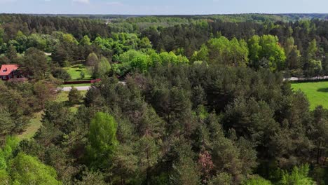 a dense forest with a small town in the distance, lithuania, aerial view