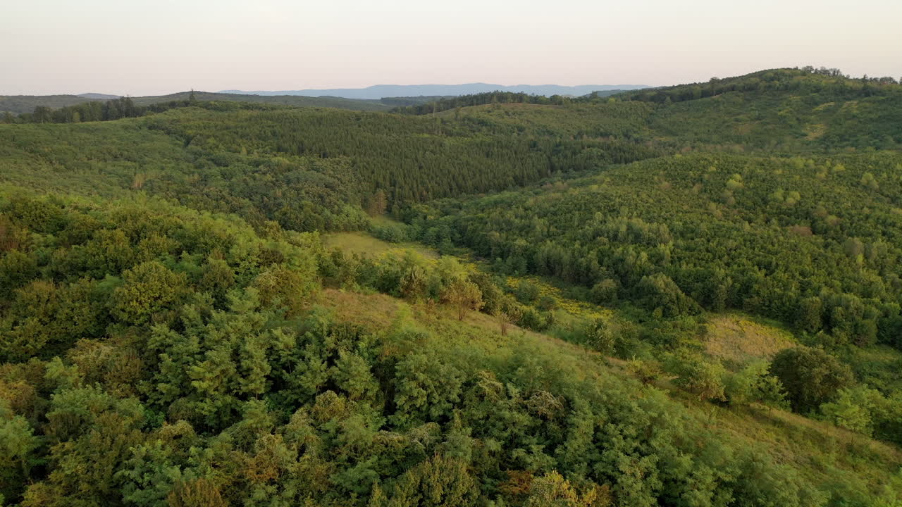 Macaristan'da bulutlu bir günde drone görünümüyle orman.
