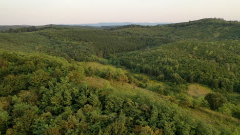 Forest-from-drone-view-in-hungary.-cloudy-day