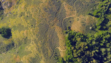 vista aérea de arriba hacia abajo de la montaña tamalpais cubierta de bosque en california