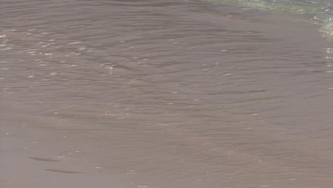 small waves on a caribbean beach