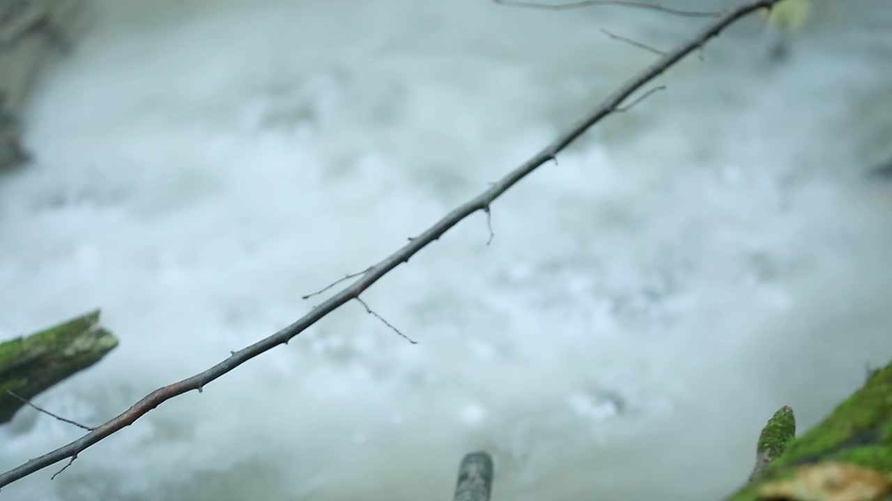 Misty Forest Stream. Magic stream in the forest with bubbles and smoke